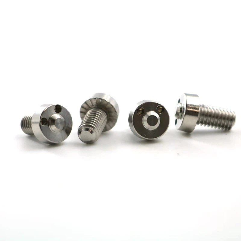 Security Screw Security Screw
